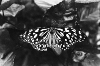 https://yigehuairen.com/files/gimgs/th-56_64246.jpg