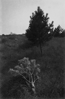 https://yigehuairen.com/files/gimgs/th-56_686845645.jpg